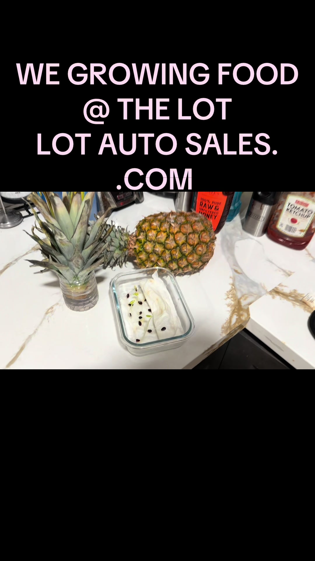 @tedcars2000