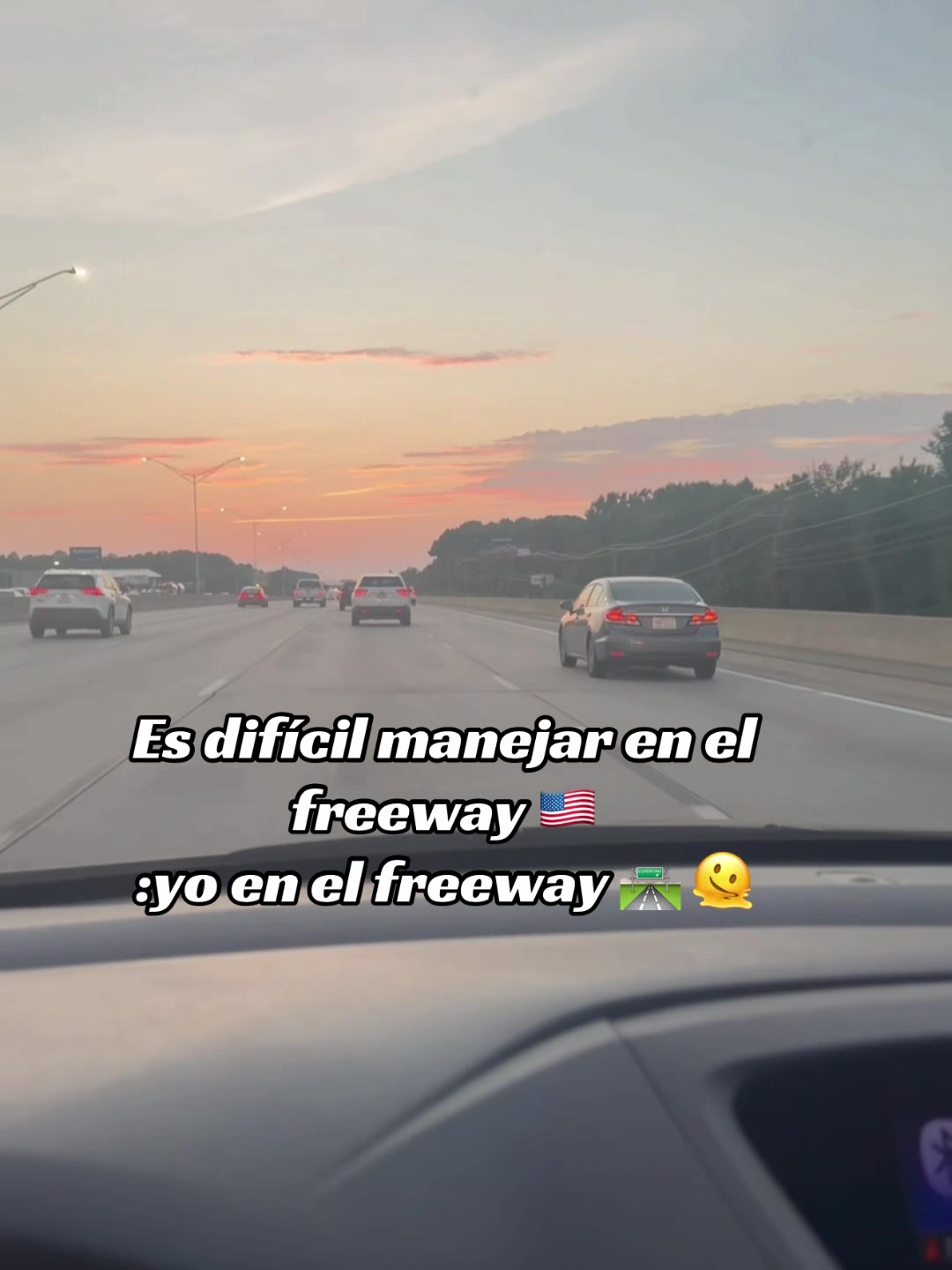 @Nelsis👑