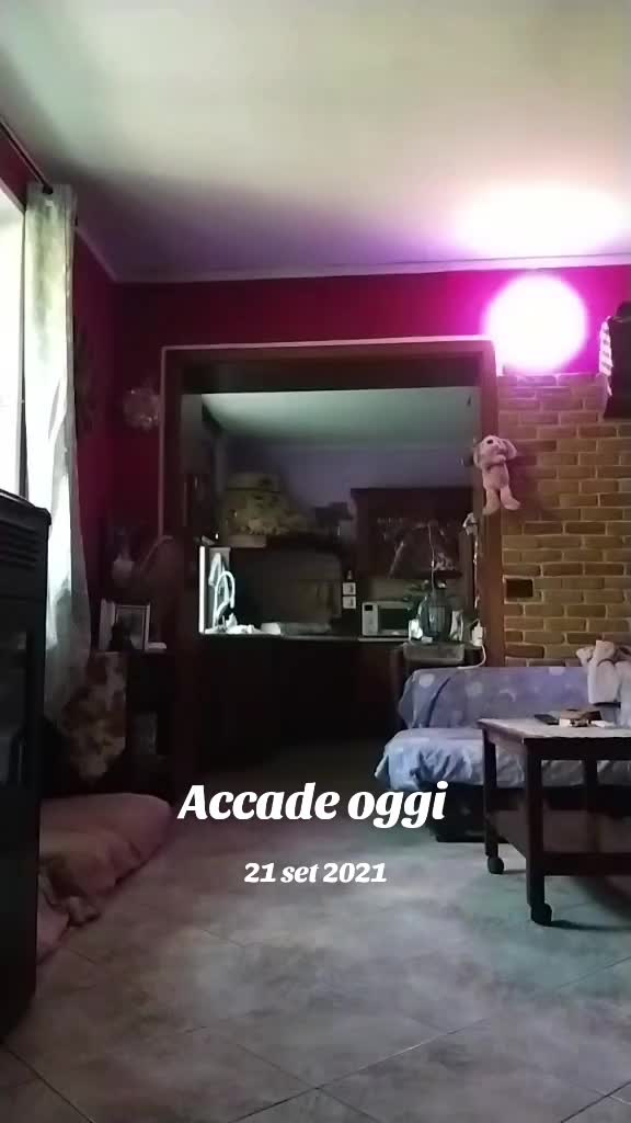 @Moni Monik