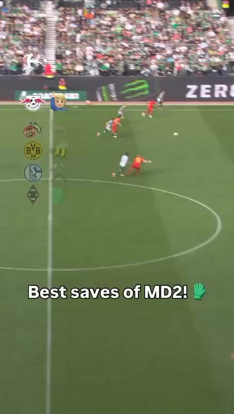 @Goalkeeping Development