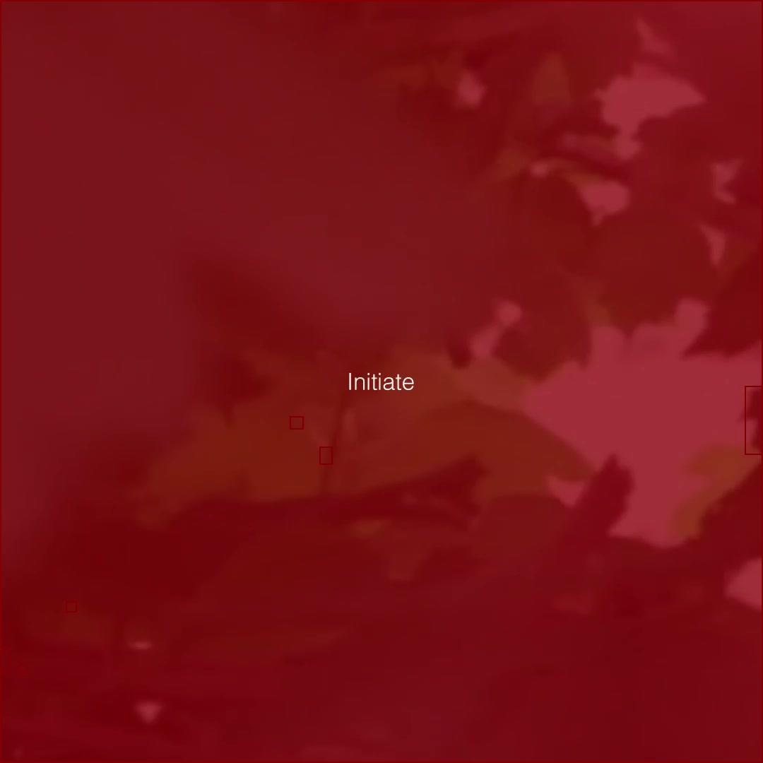 @ICARUS REBORN