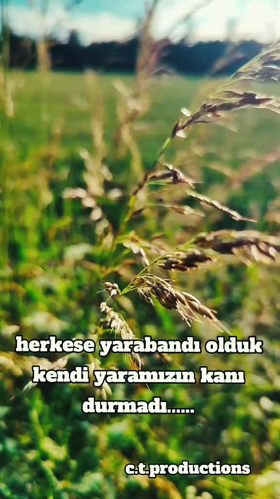 @kalptenkalbedua