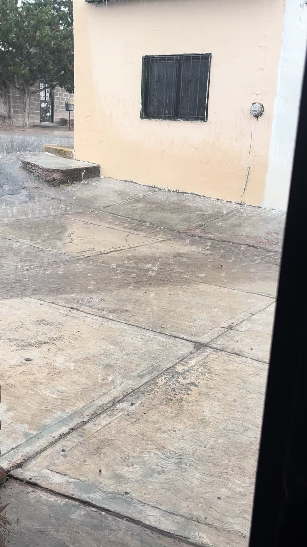 @mariaorozco7788