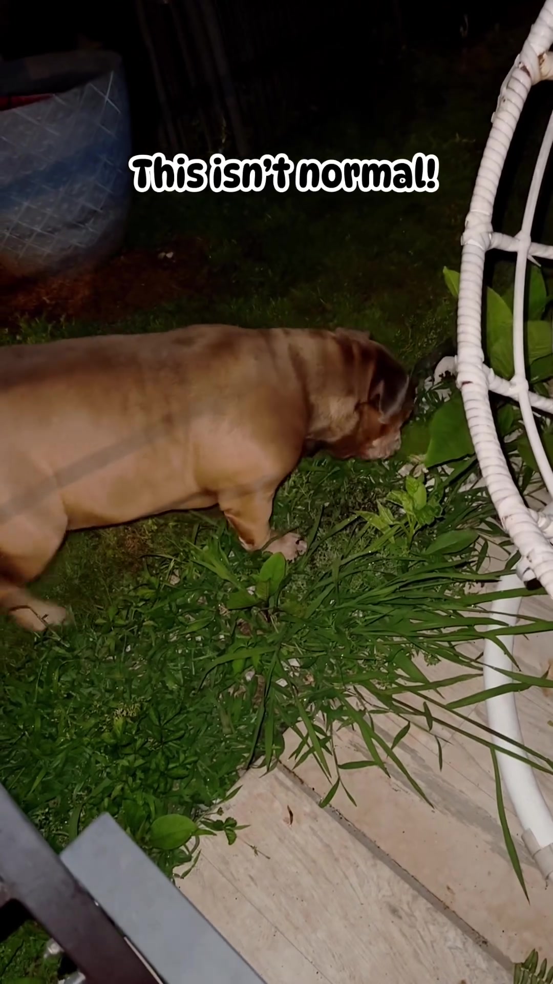 @barkleythabulldog