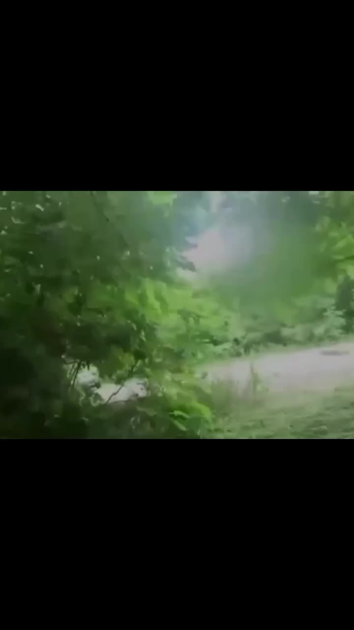 @пельмени