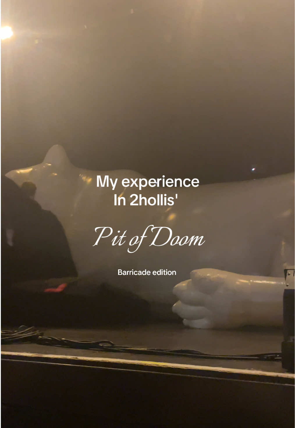 @A 🦭༘⋆