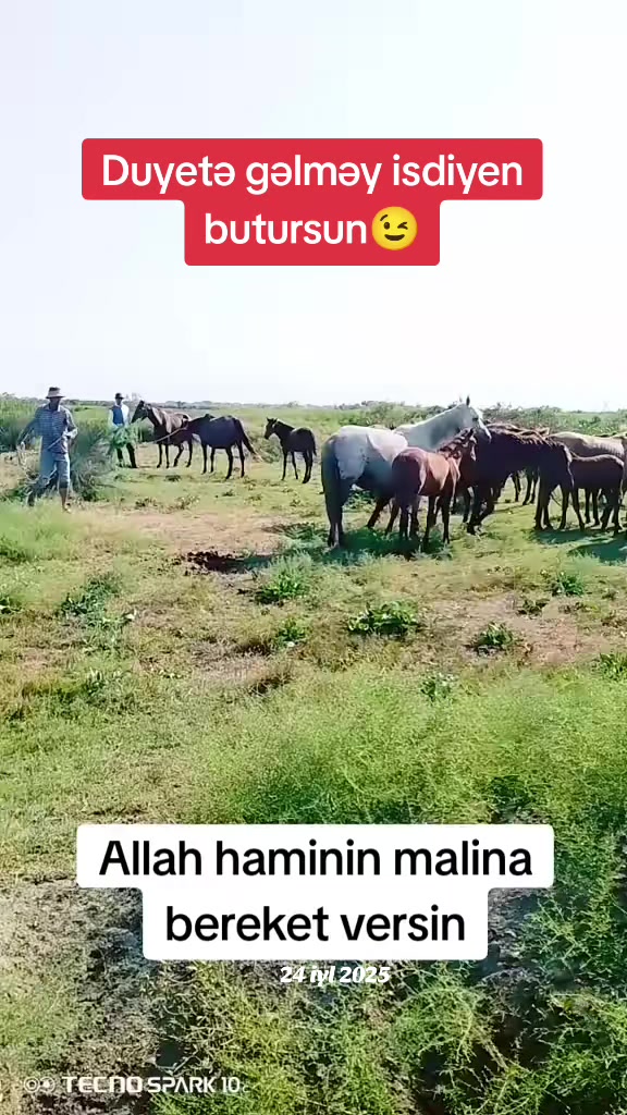 @Zehertulugu_44