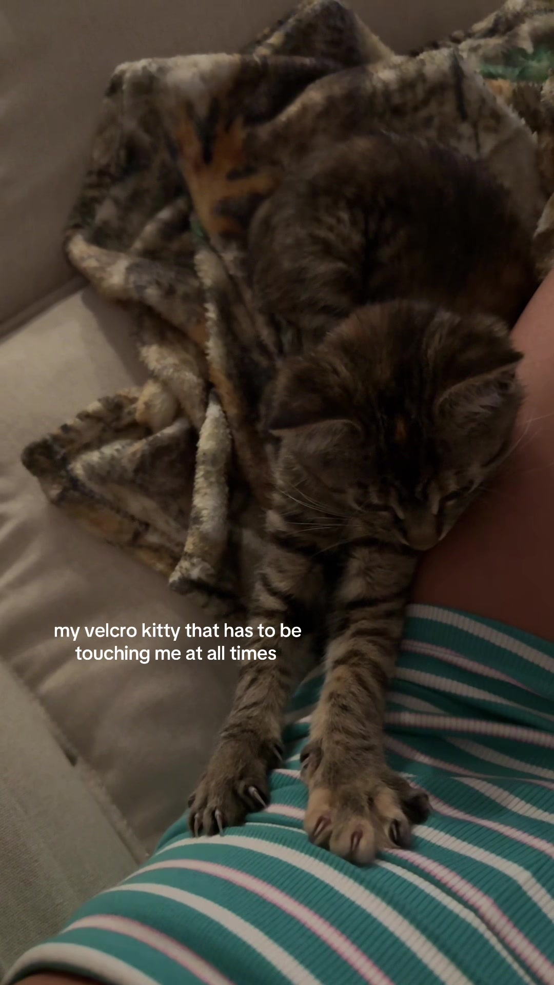 @thelilymaxwell_