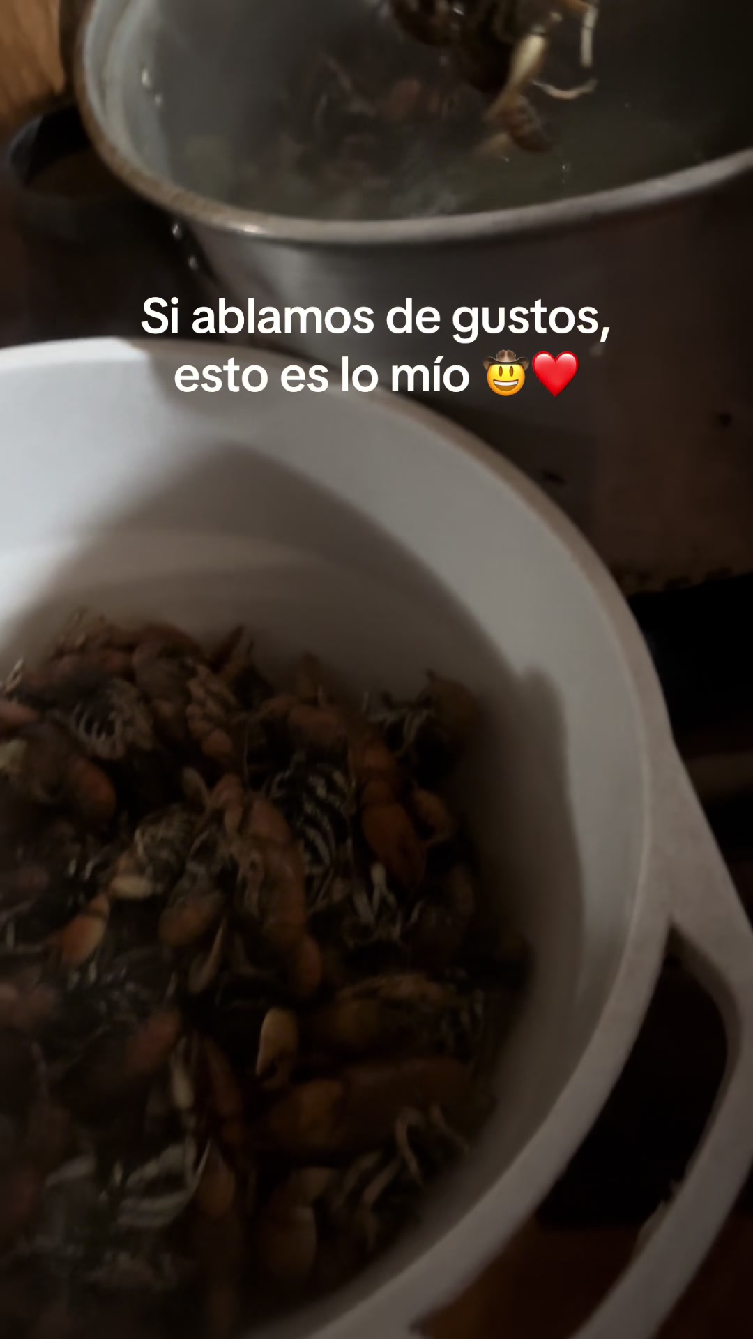 @Yecsarela_R6