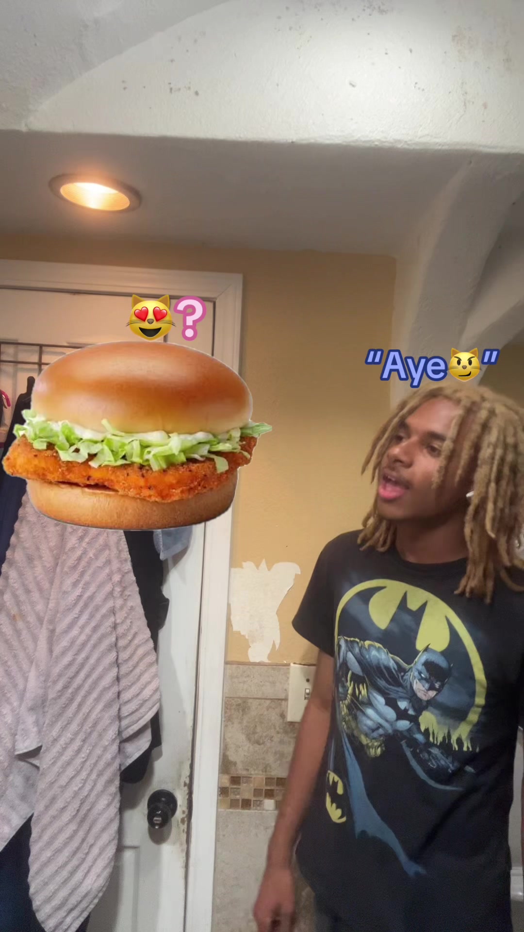 @ohbabyilovemcchickens
