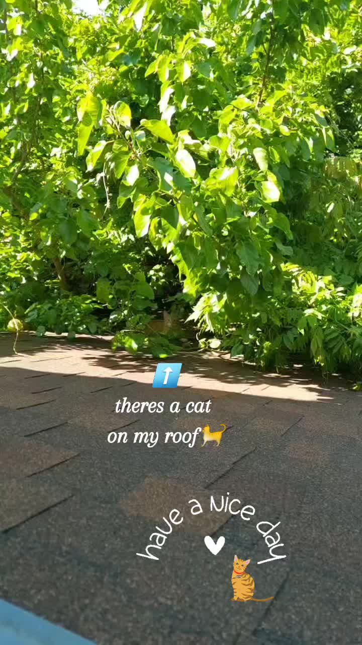 @kjones3950