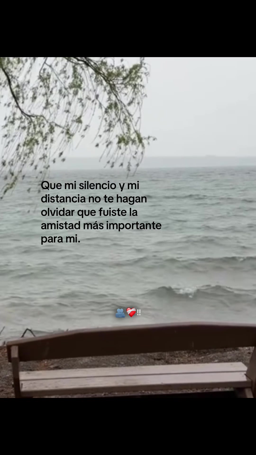 @🥀Willitto🪫