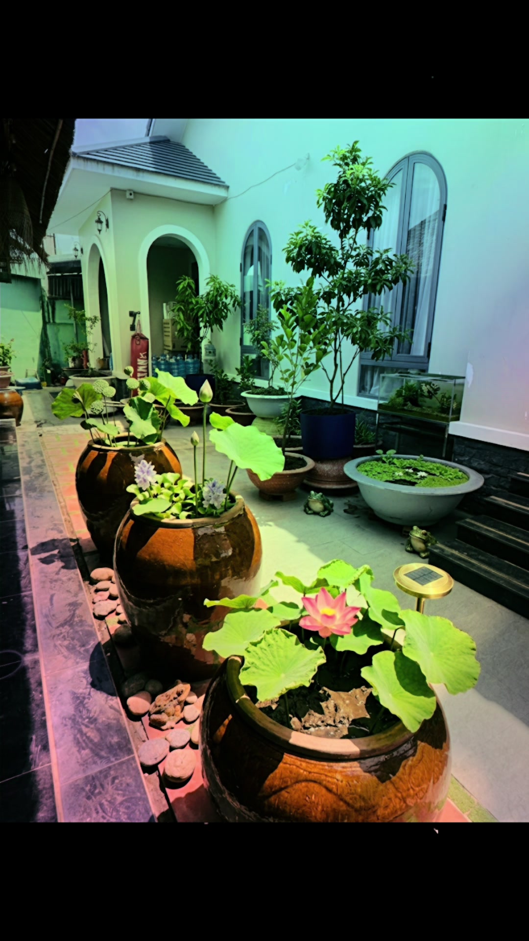 @Ngộ Đạo Trúc Viên