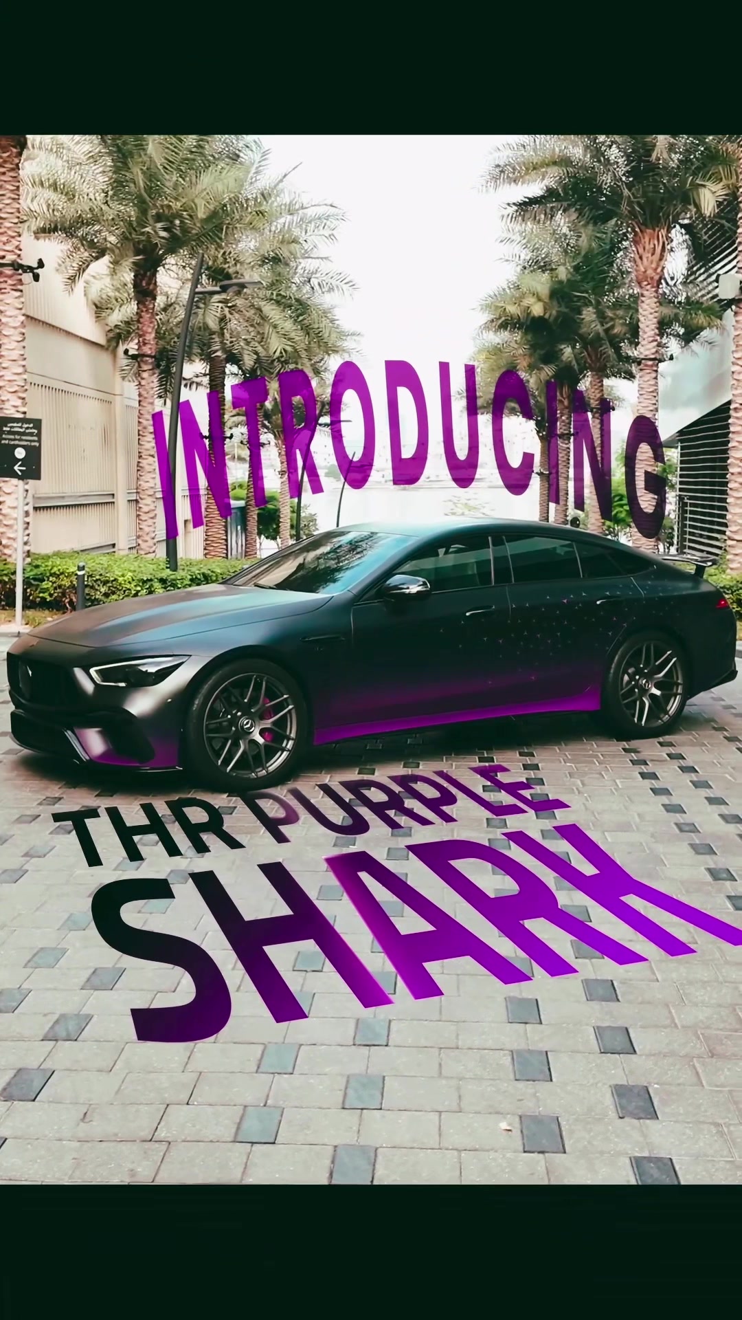 @🦈💜