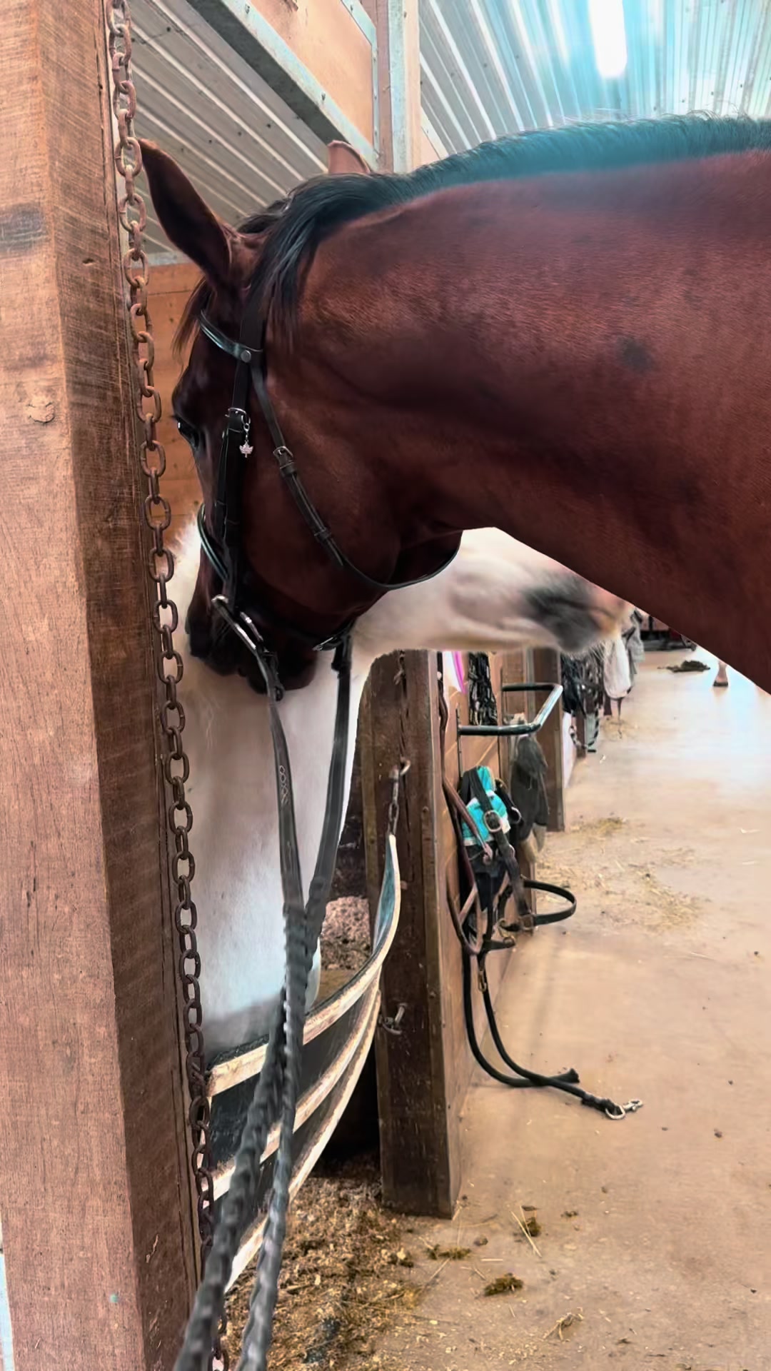 @Emily Moniz Of Valiant Eq 🫢