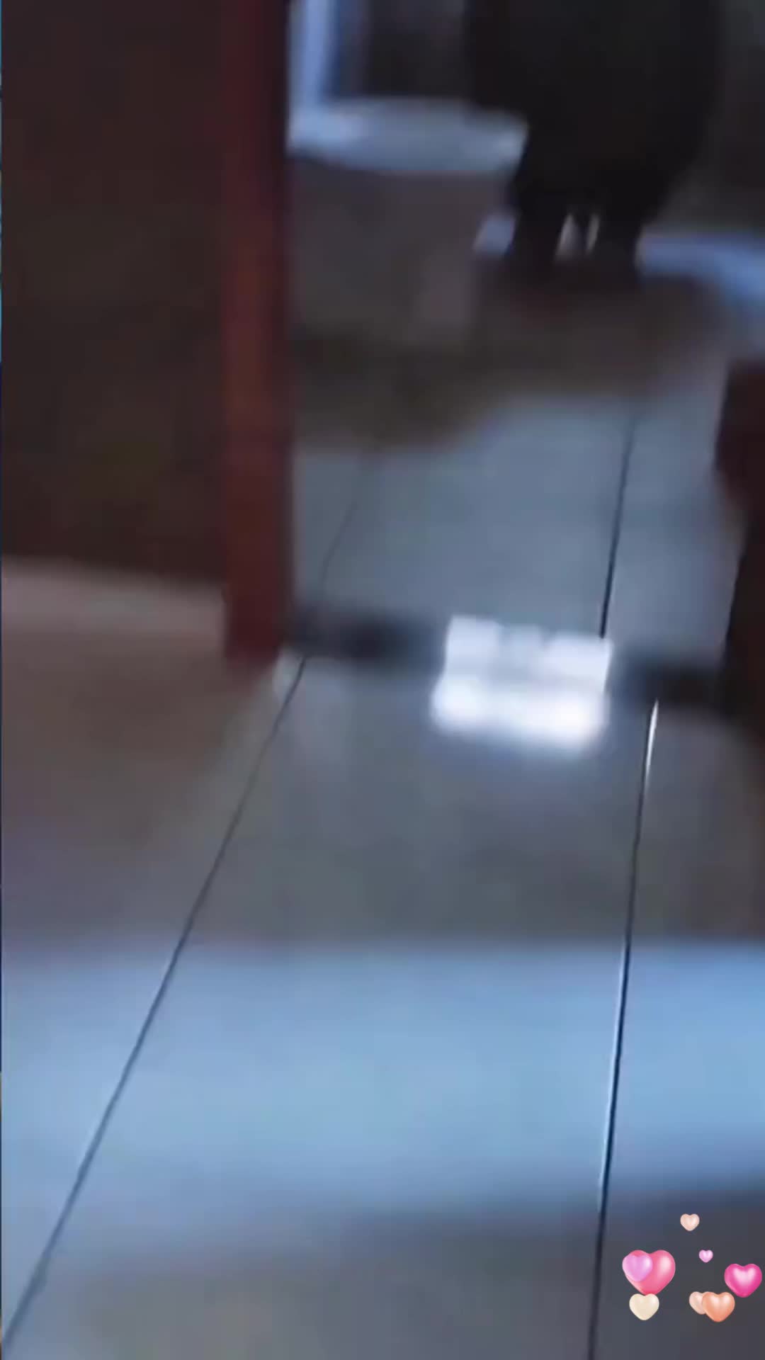 @user6385485866230