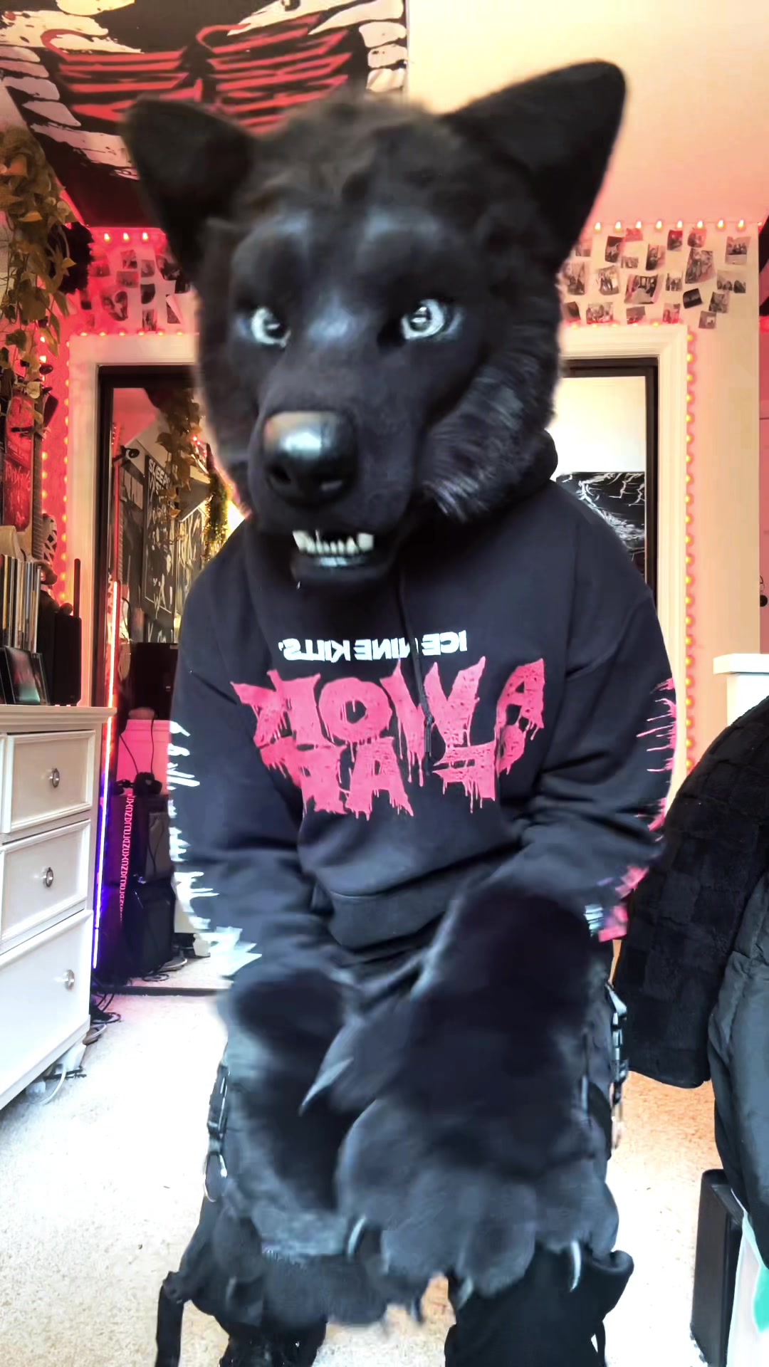 @canines_kill