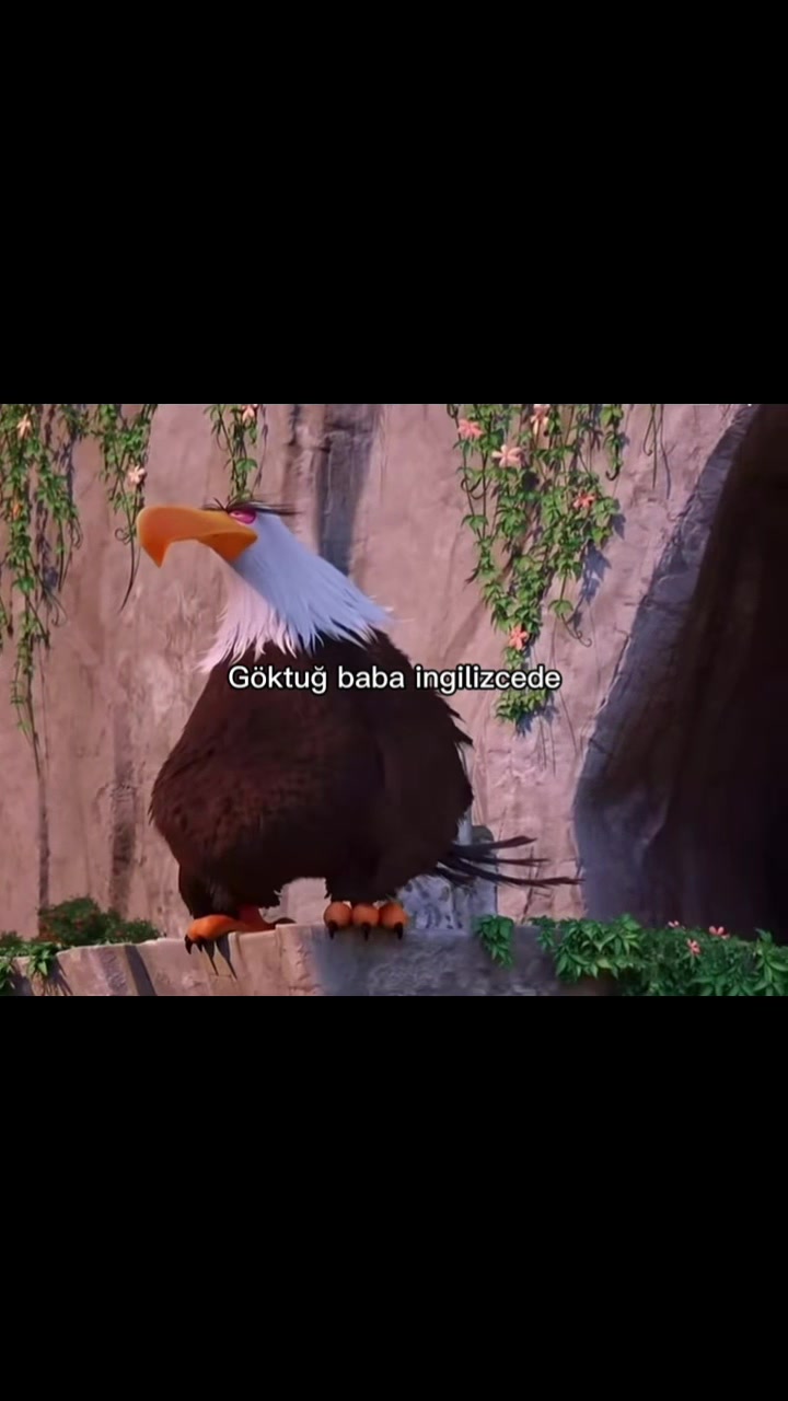 @Kabataş Erkek Hazırlık D
