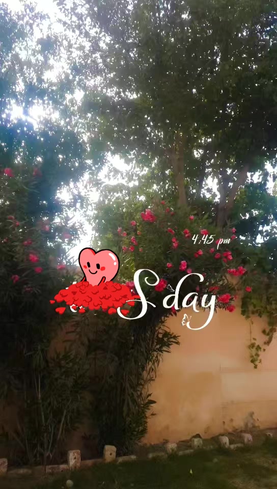@Erij_Noor