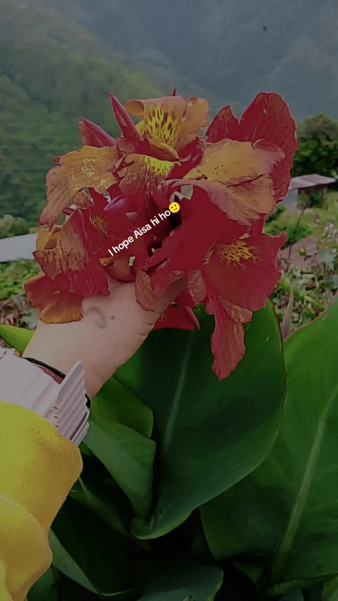 @Juli Chaudhary