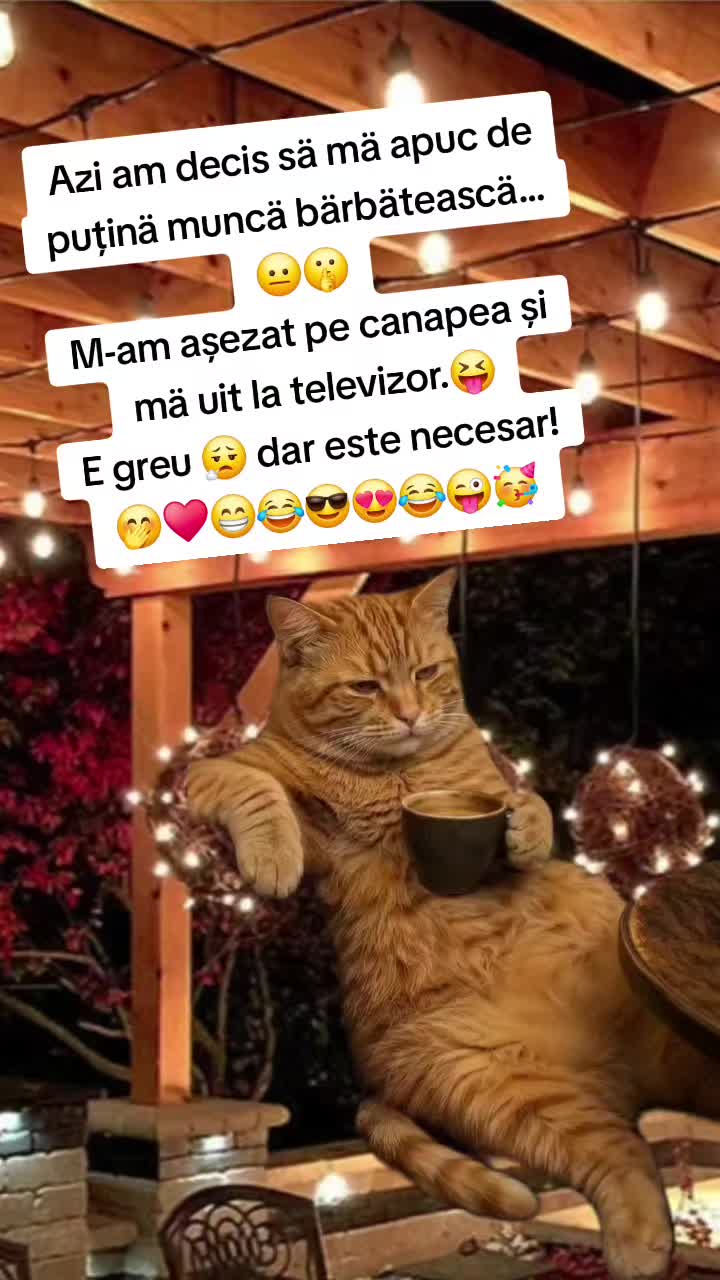 @♈️RalukDinu♈️84🤍☯️❤️