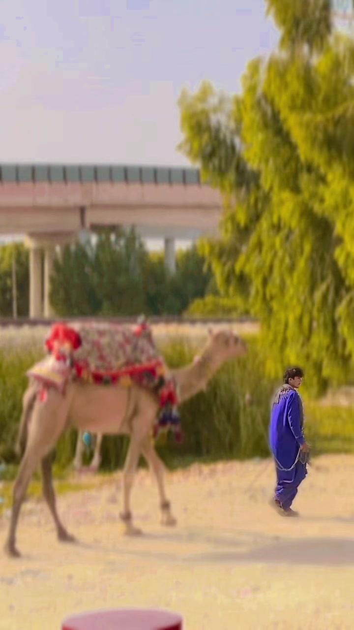 @Khairpur Mirs