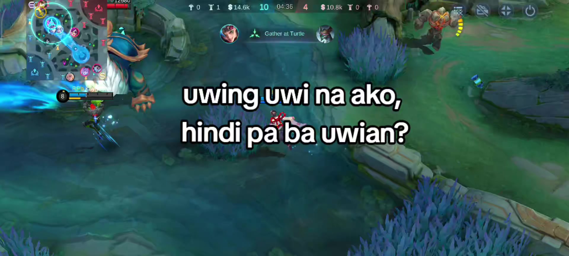 @Chie