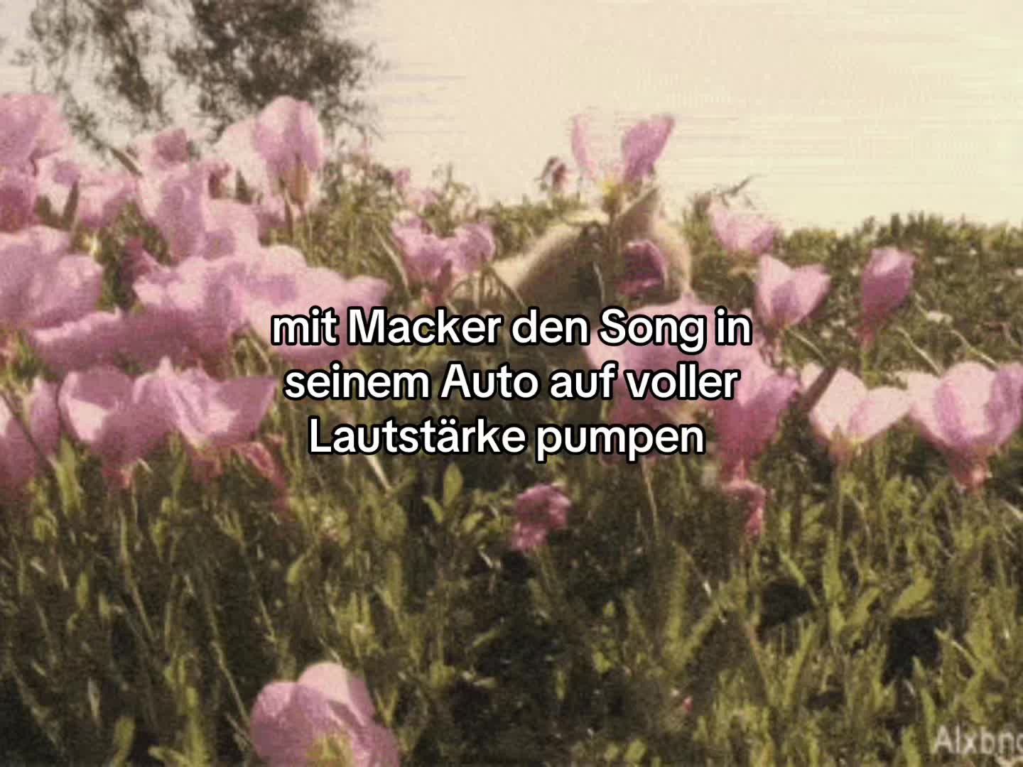 @s1renatym