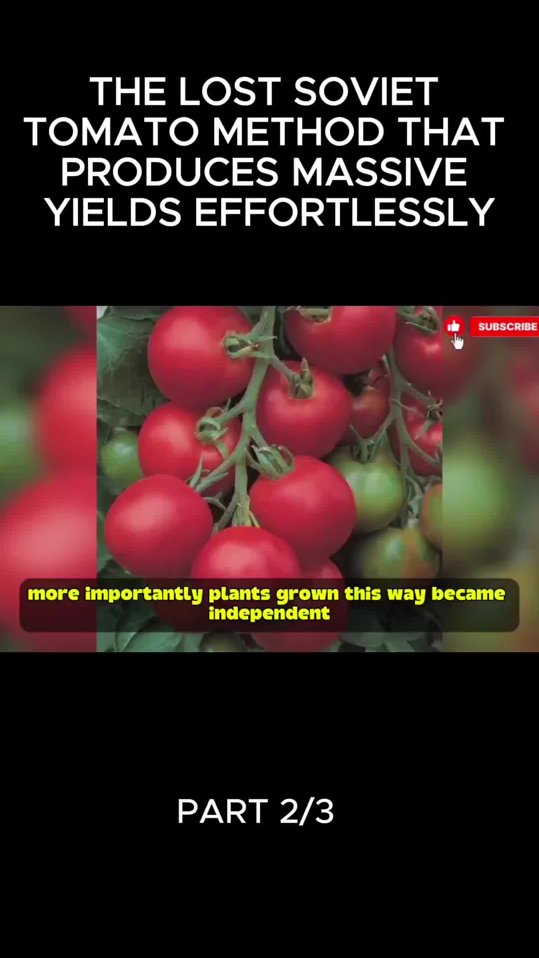 @user32331650853717