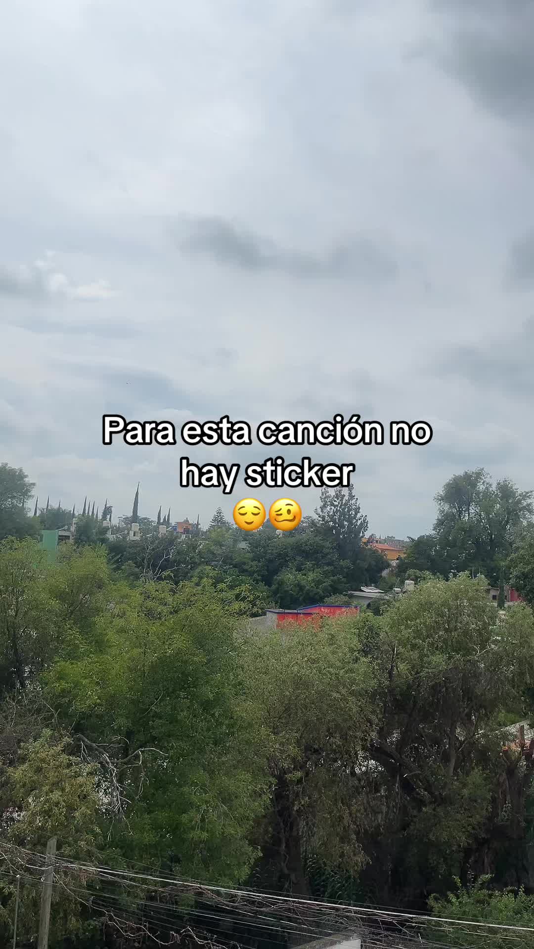 @elarabe_ff100🤍🖤