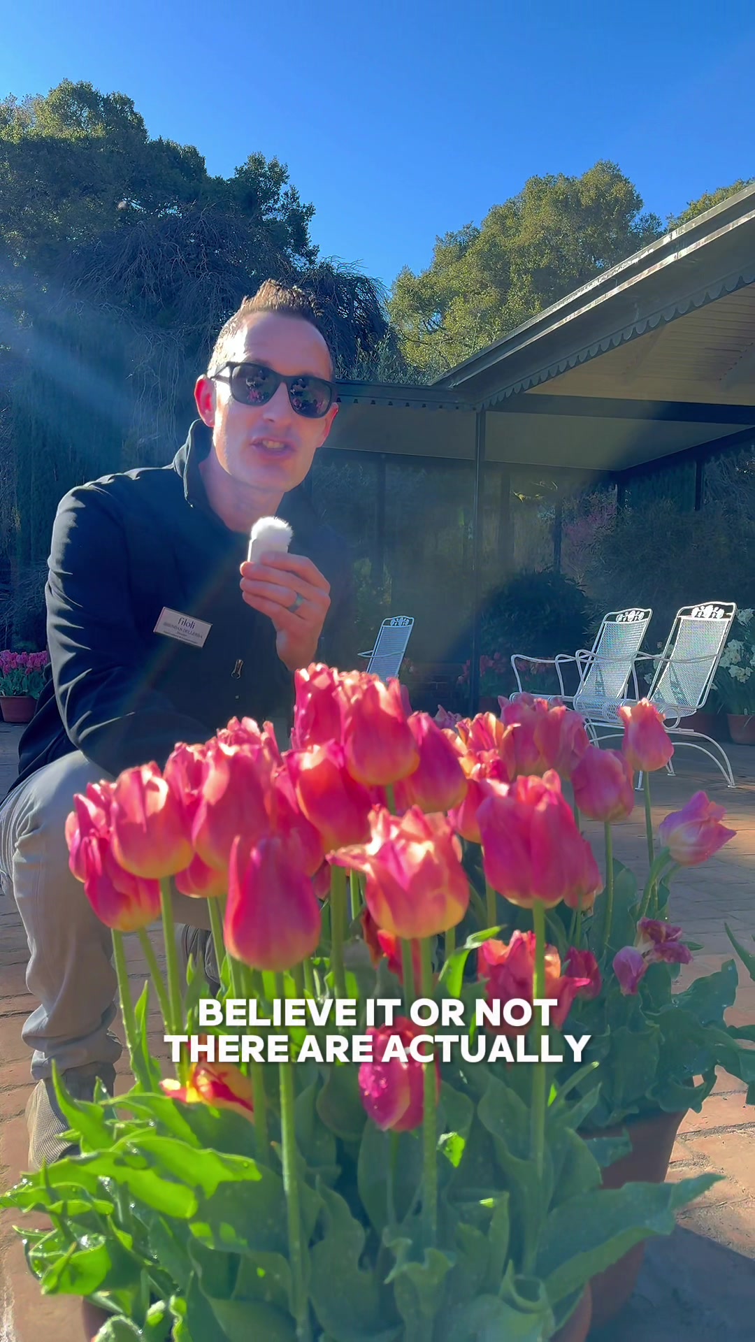 @Filoli