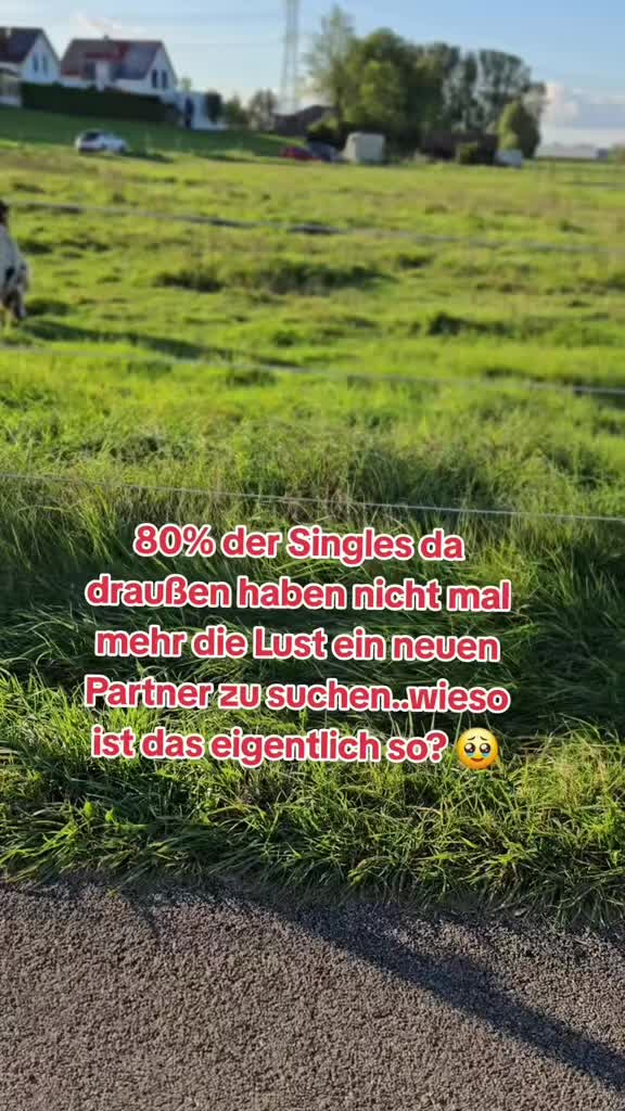 @Frechdachs