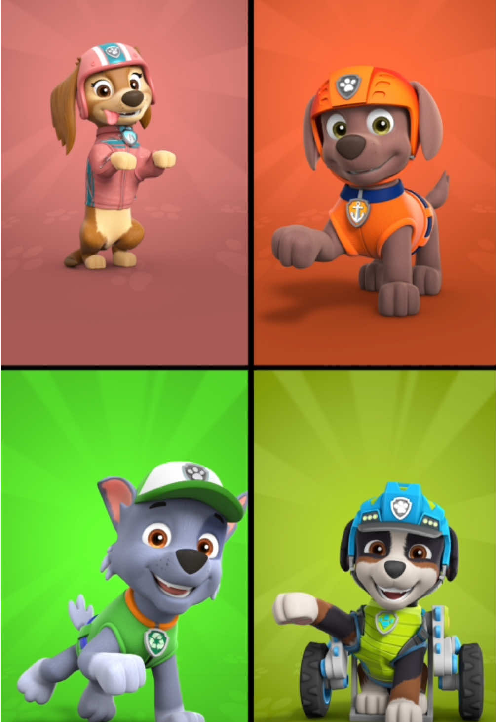 @pawpatrol