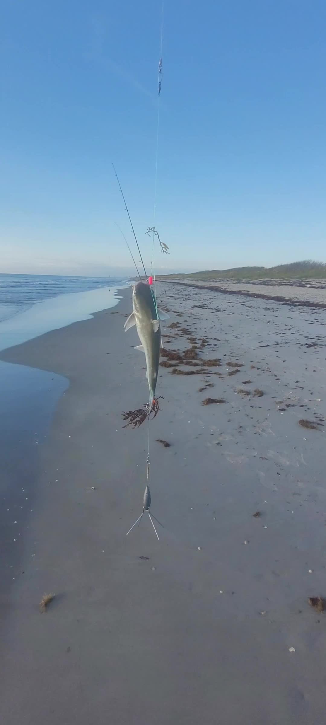 @Ghost of Space Coast Fishing