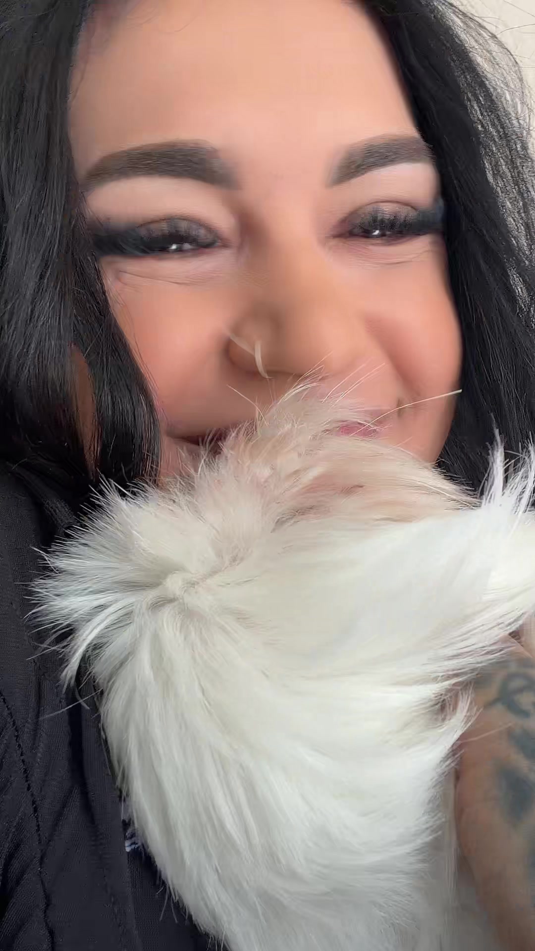 @habibiniki
