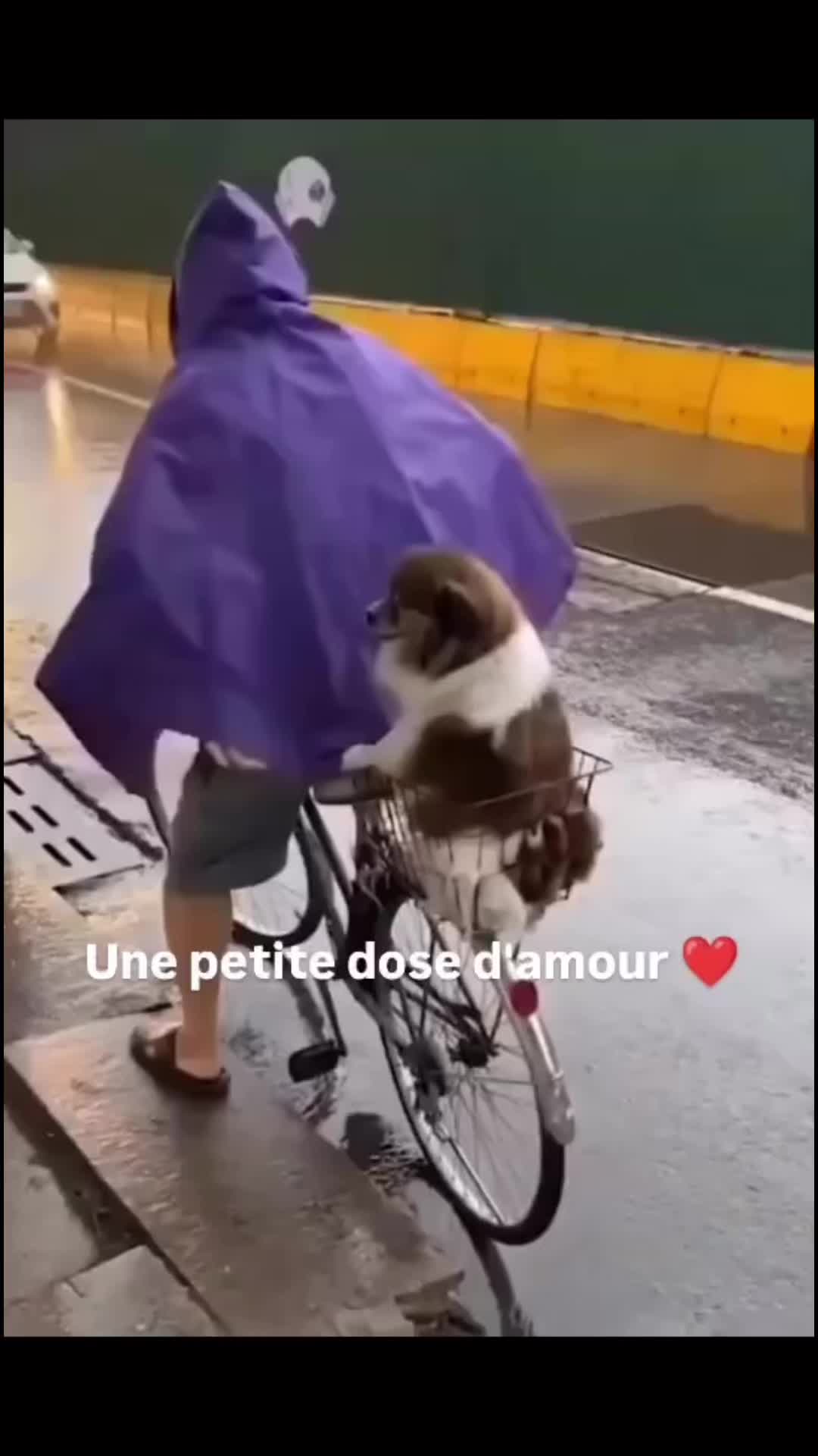 @Cidaneves. ❤???❤❤