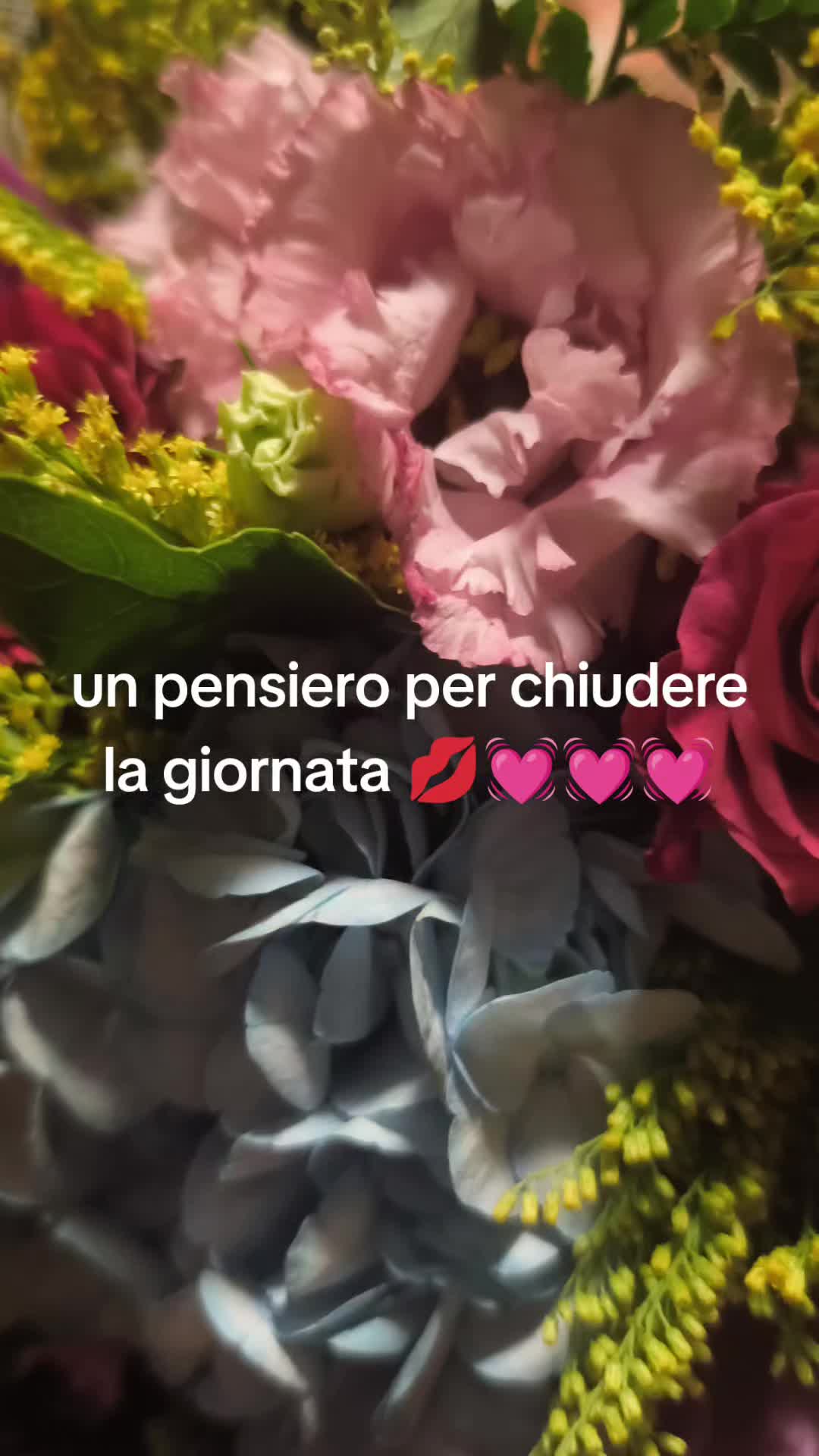@Patriziakekapokkia