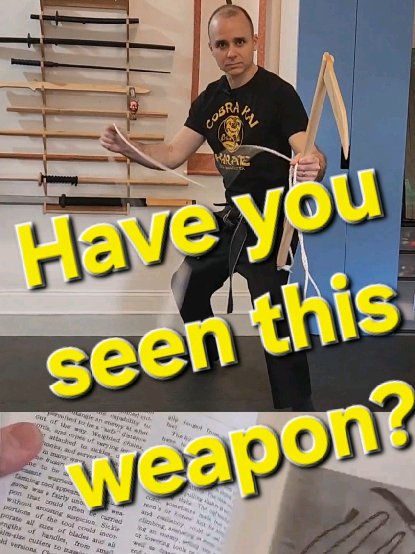 @Bujinkan Meiryu Dojo NYC