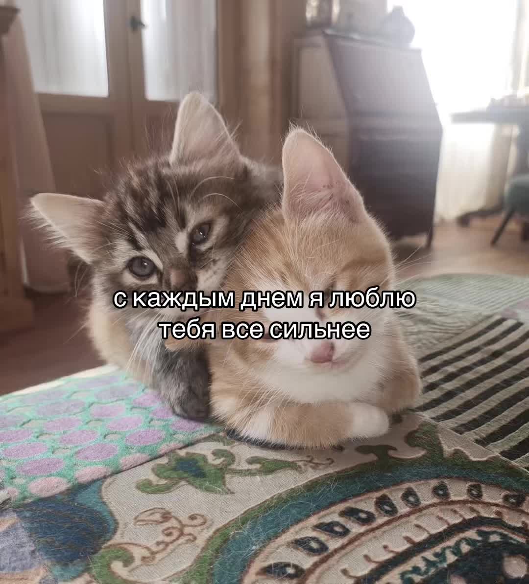 @ 