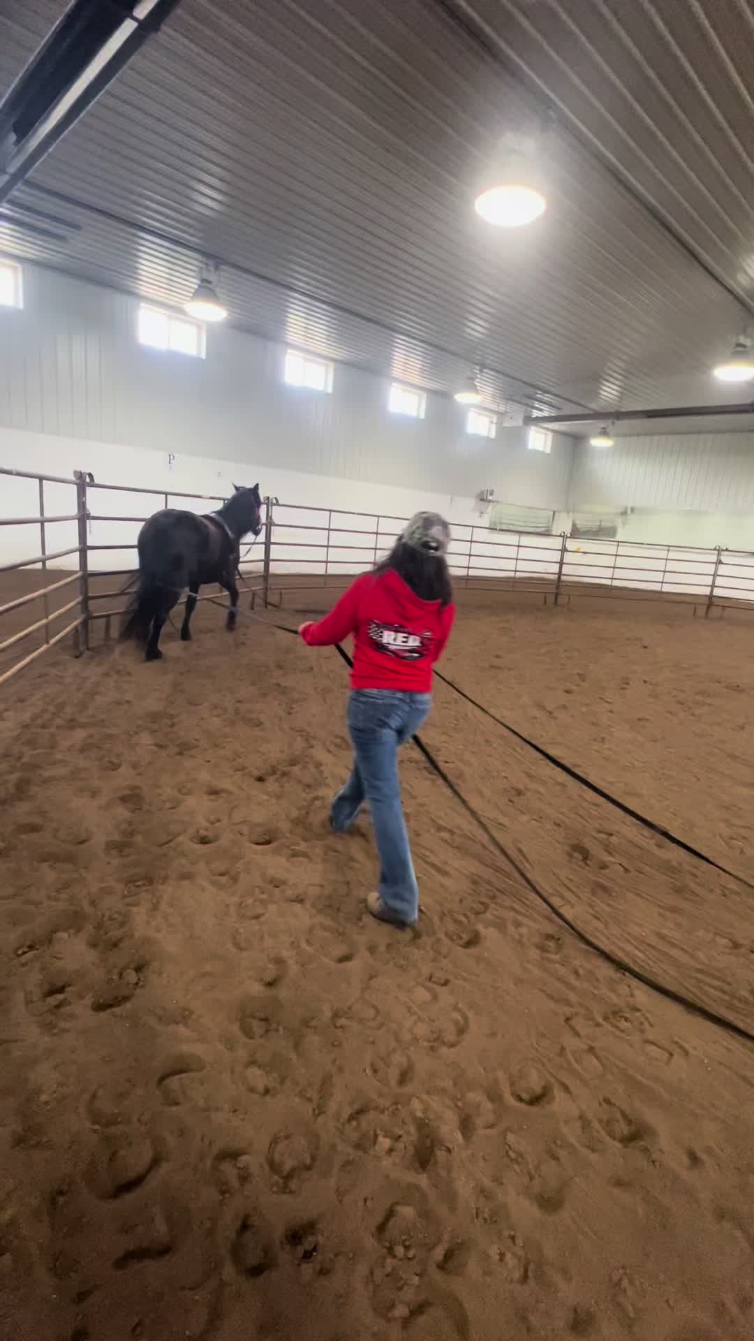 @Spirithorsecentermn