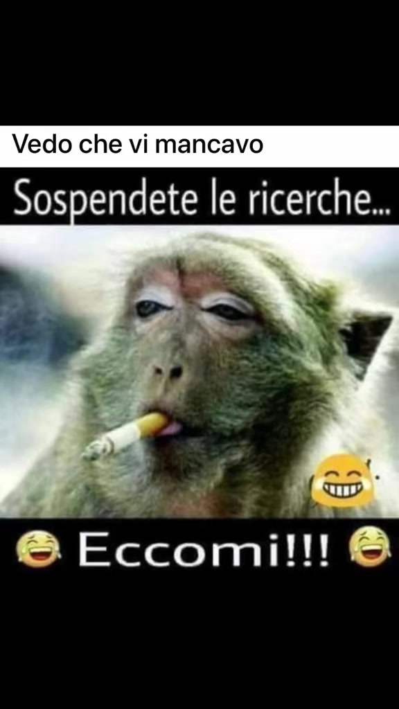 @Francafusaro05