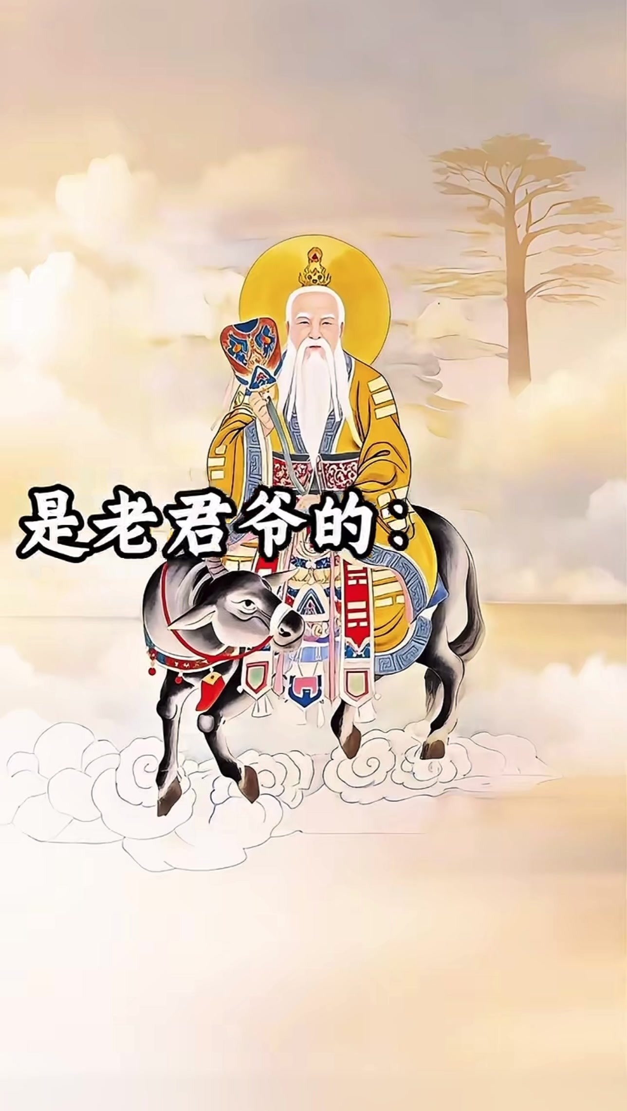 @☯️米小玄&mdash;北美小道☯️