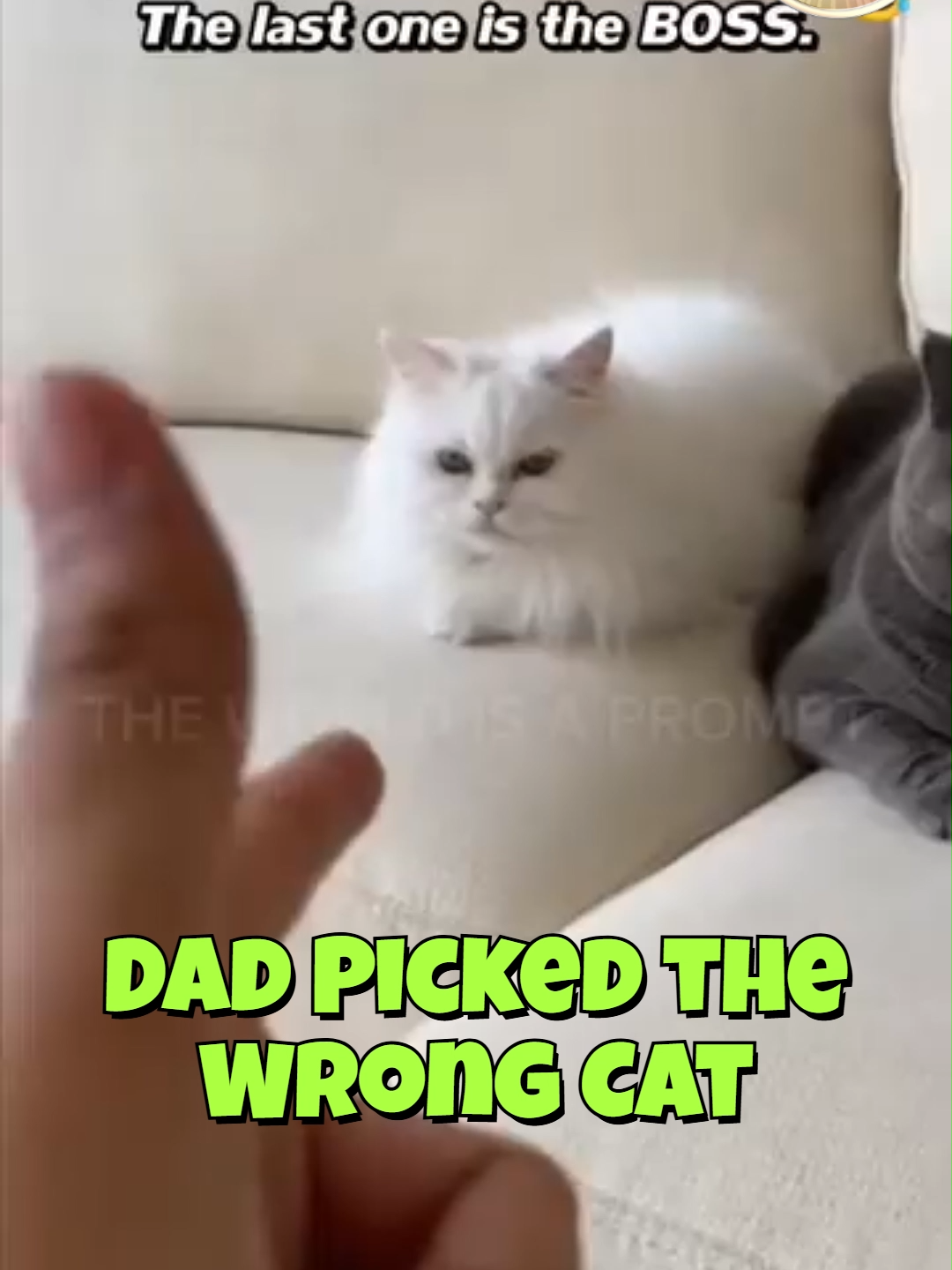 @Snickerpet