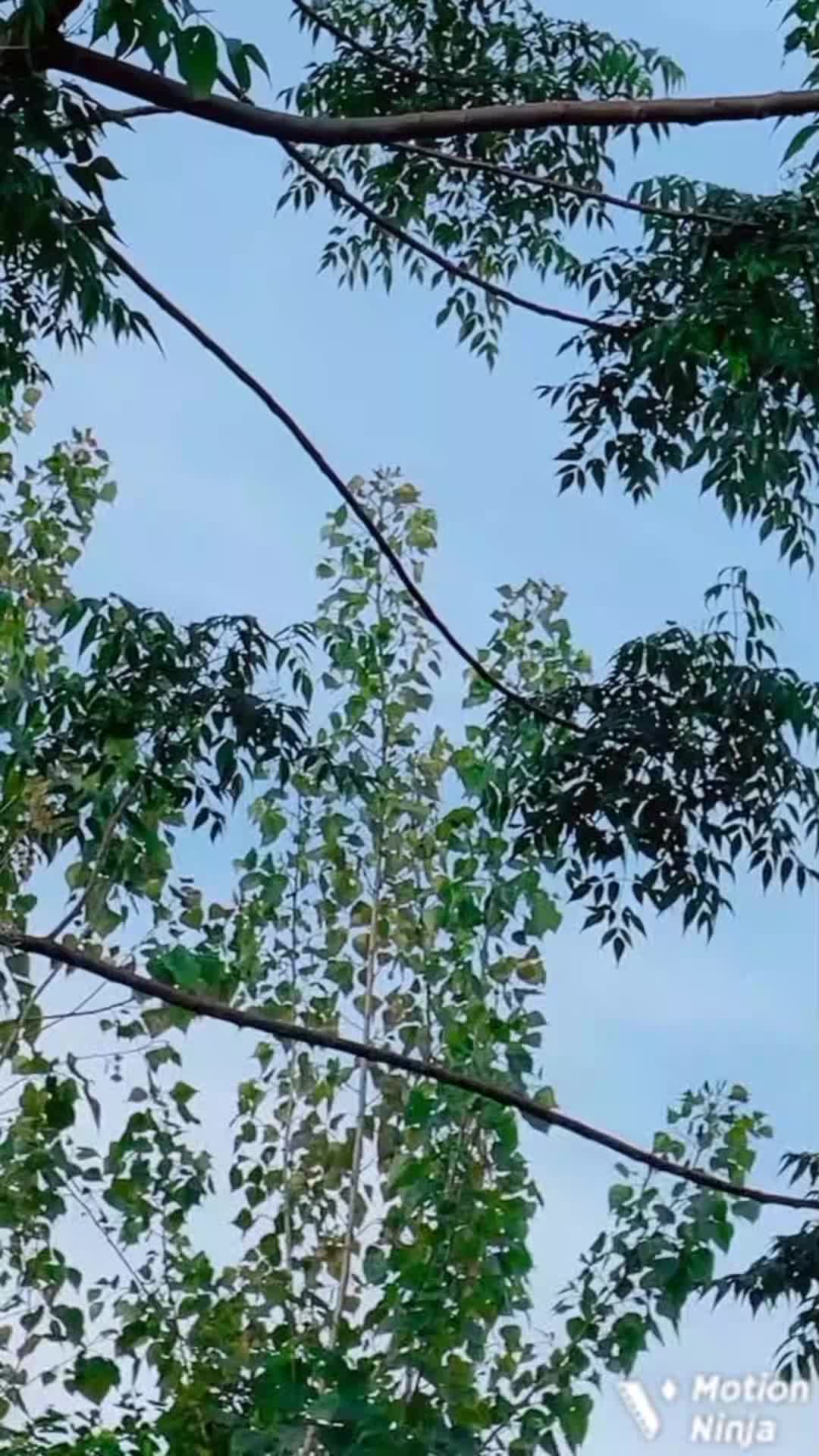 @༆ 𝑫✰𝑨✰𝑵✰𝑮✰𝑬✰𝑹 ☘︎