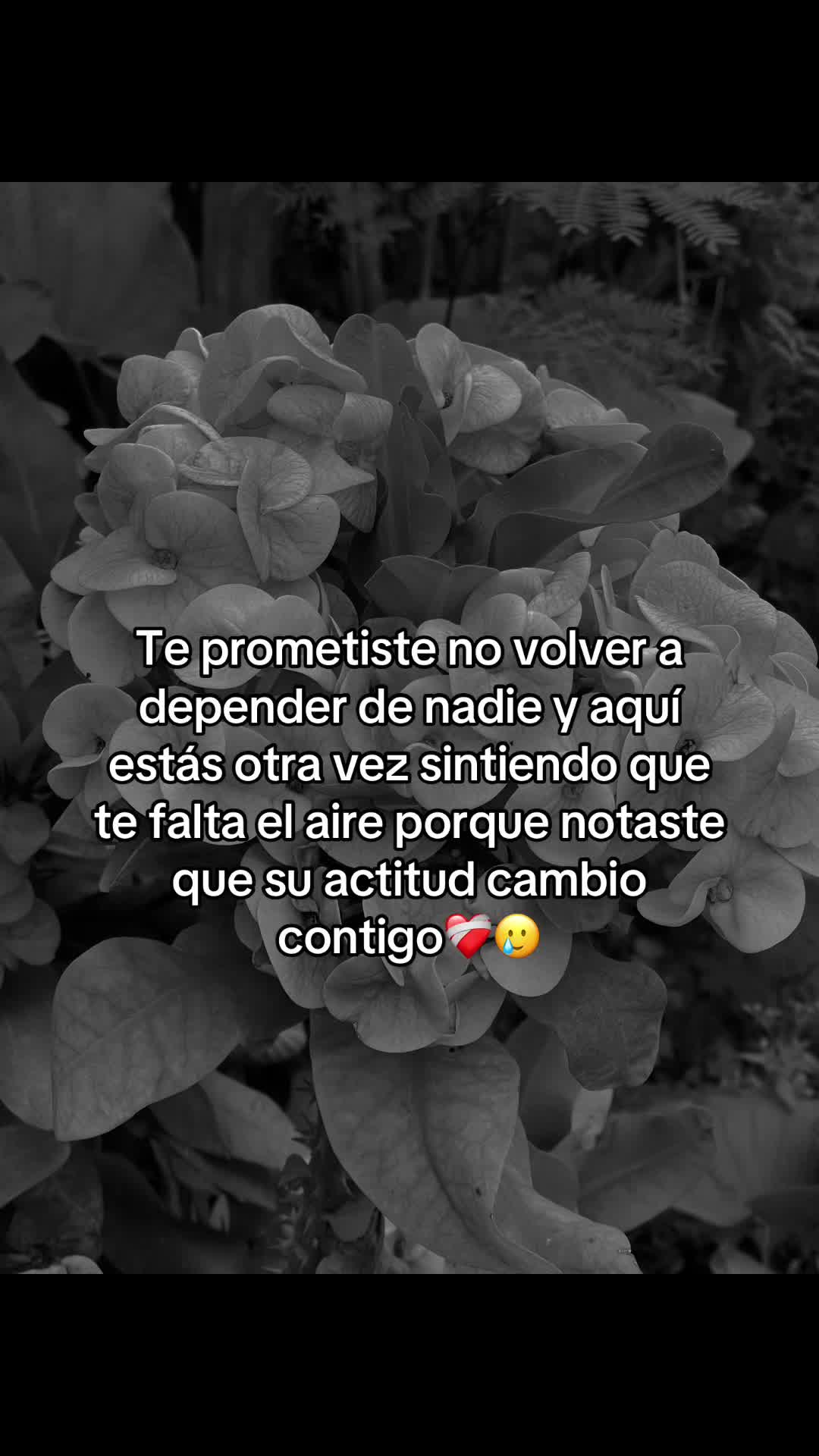 @🇲🇽 la Natali 🦋