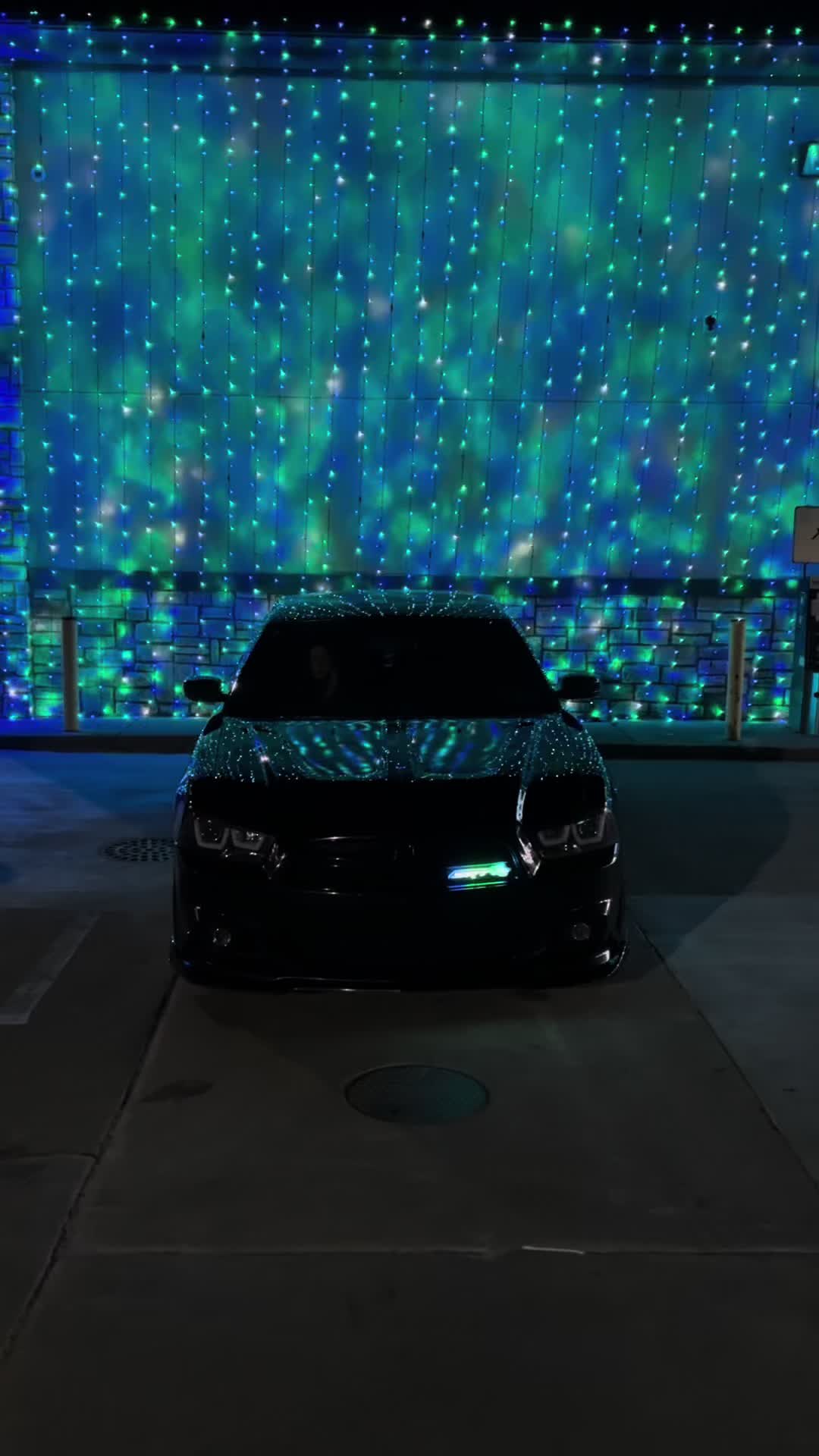 @Night_bee🐝