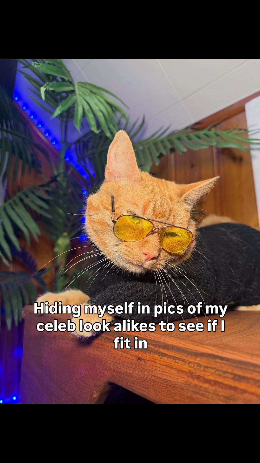 @neuteredscooter