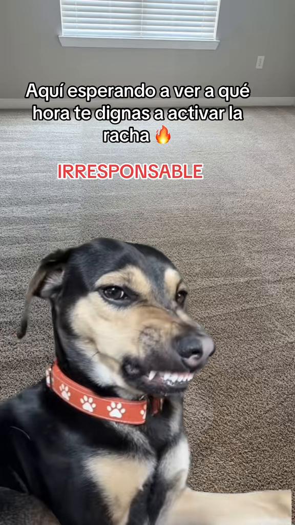 @Mary Vianey