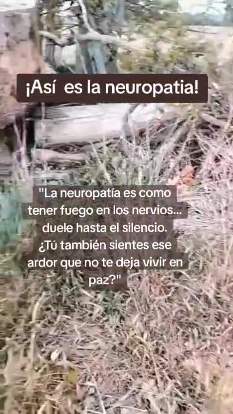 @Elizabeth Barraza