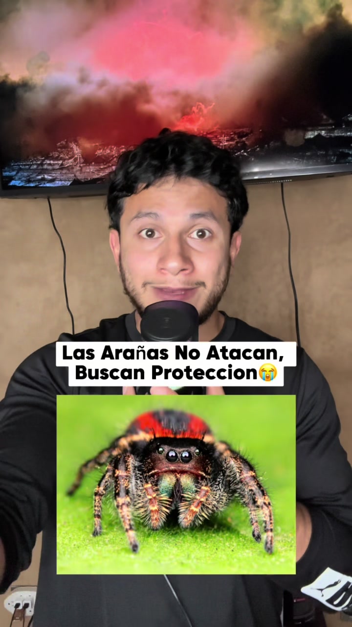 @Noe Alanis